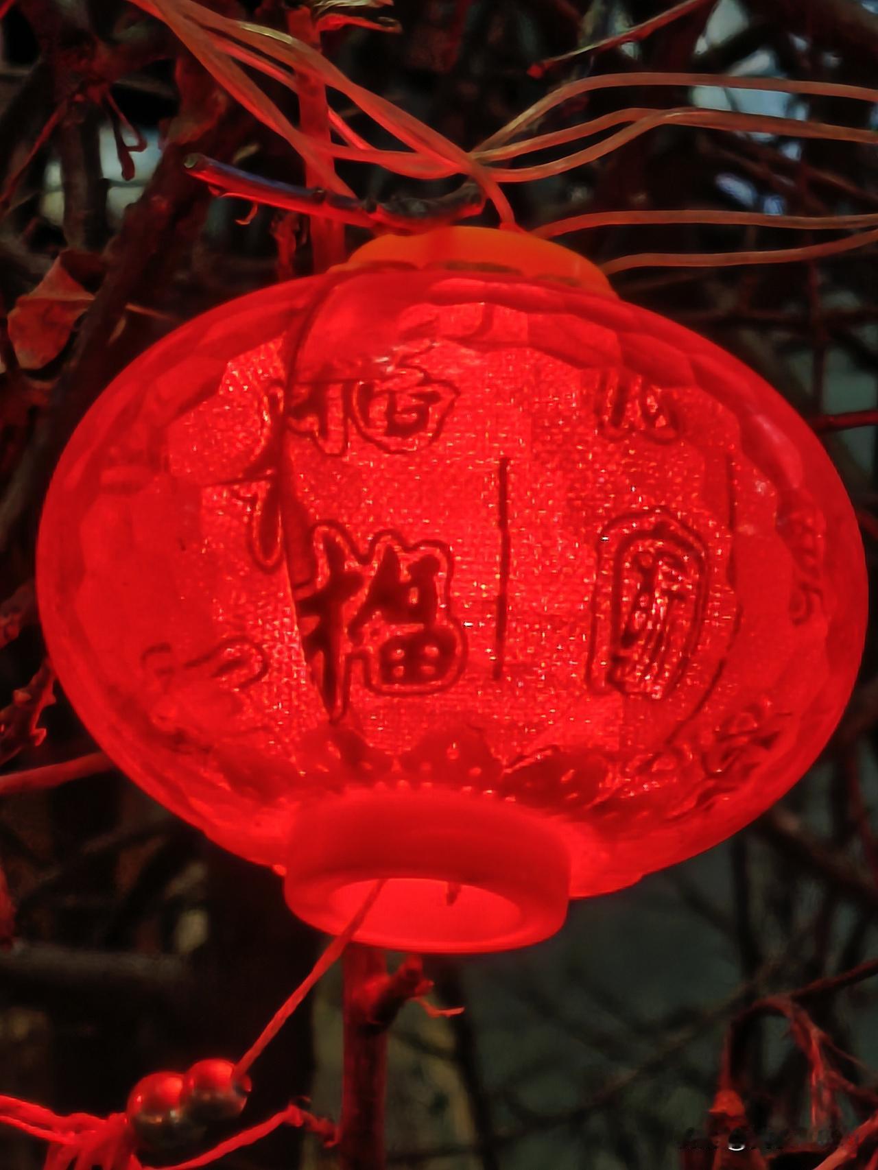 看到一个红色的中国灯笼挂在树上，瞬间就有了新的感觉。就像呼和浩特市，城区主干道两