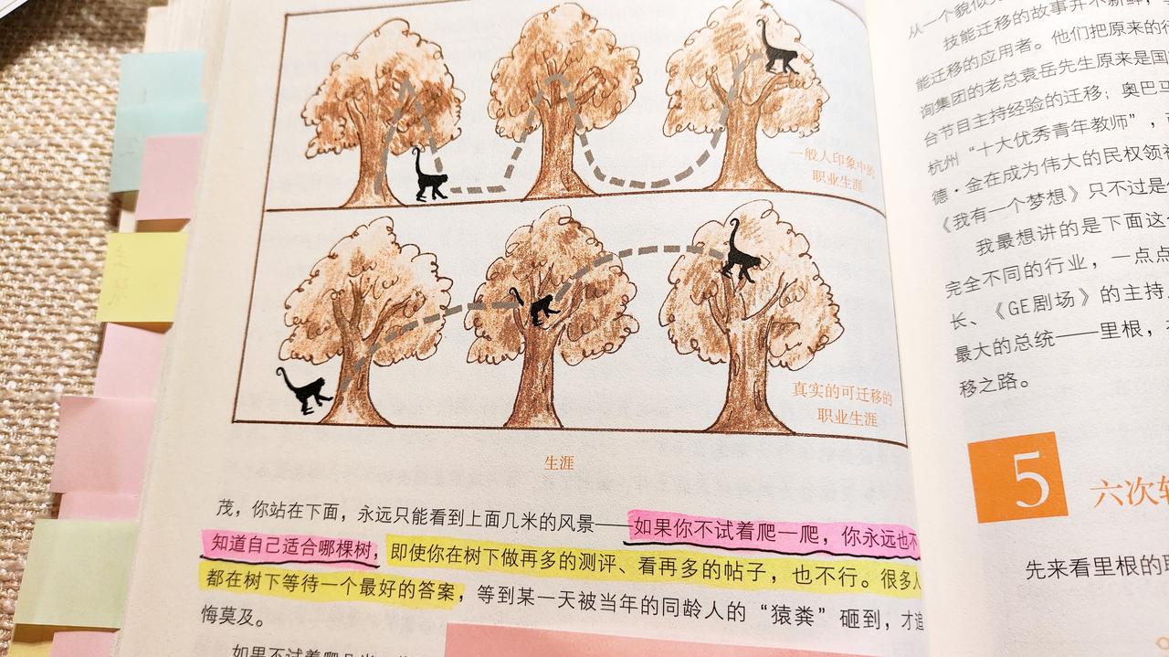 2026年，想做什么，只管去做，不要追求完美，定位是在试错中找到的。

书上把我