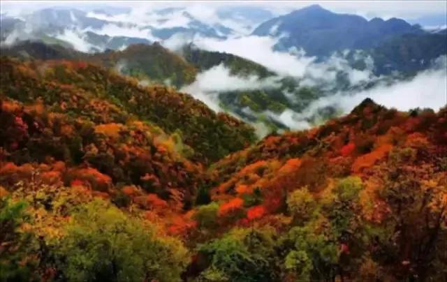 秦岭
华夏秦岭，横亘东西、和合南北、泽被天下。秦岭我们中国南北气候分界线；五千多
