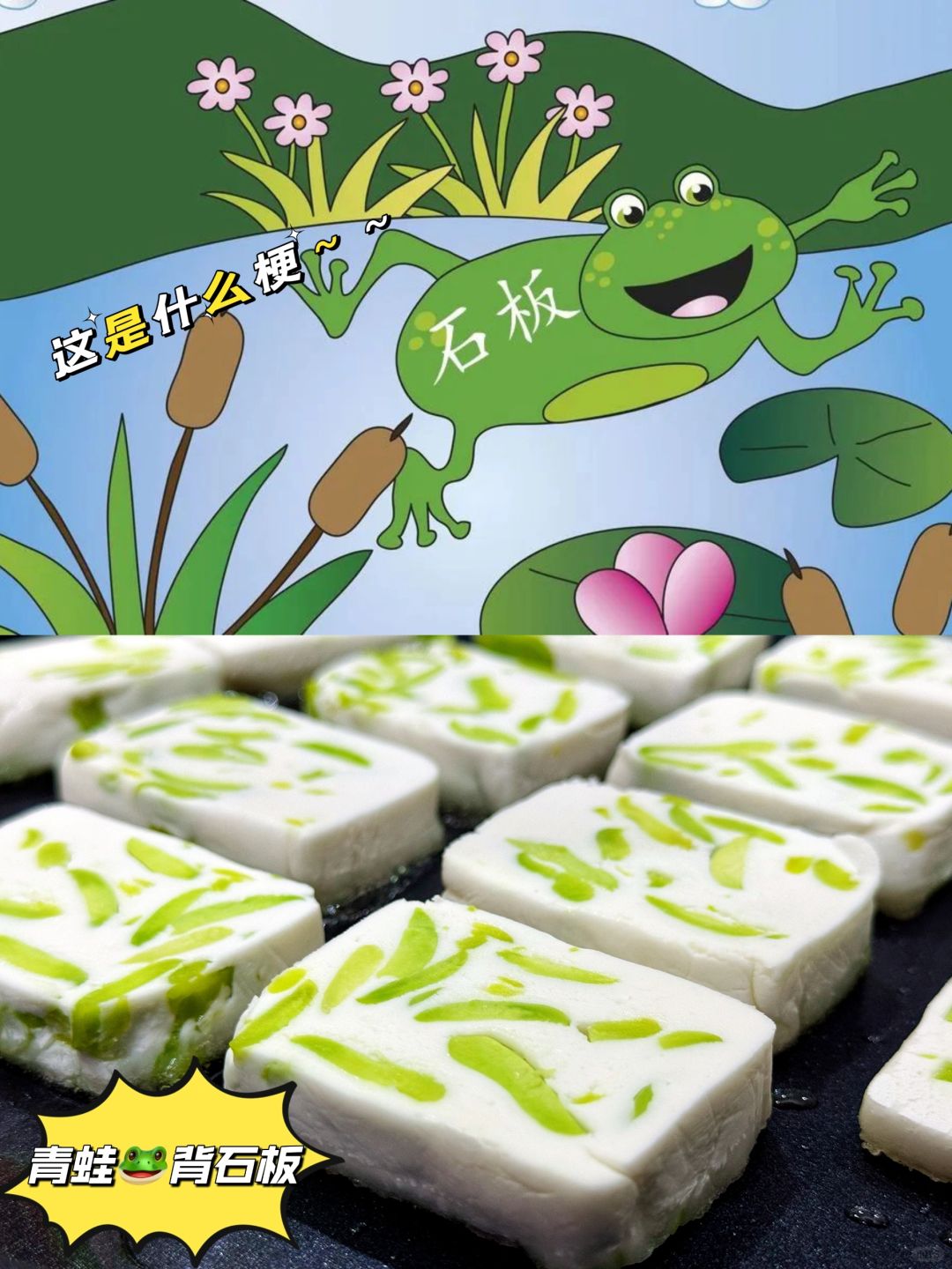 🍃春天的味道🐸青蛙背石板，糯叽叽～～