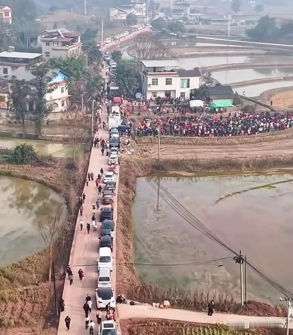 重庆合川女子想找人按个年猪，随口一喊，好家伙，直接来了数千人。

女孩整个人都懵