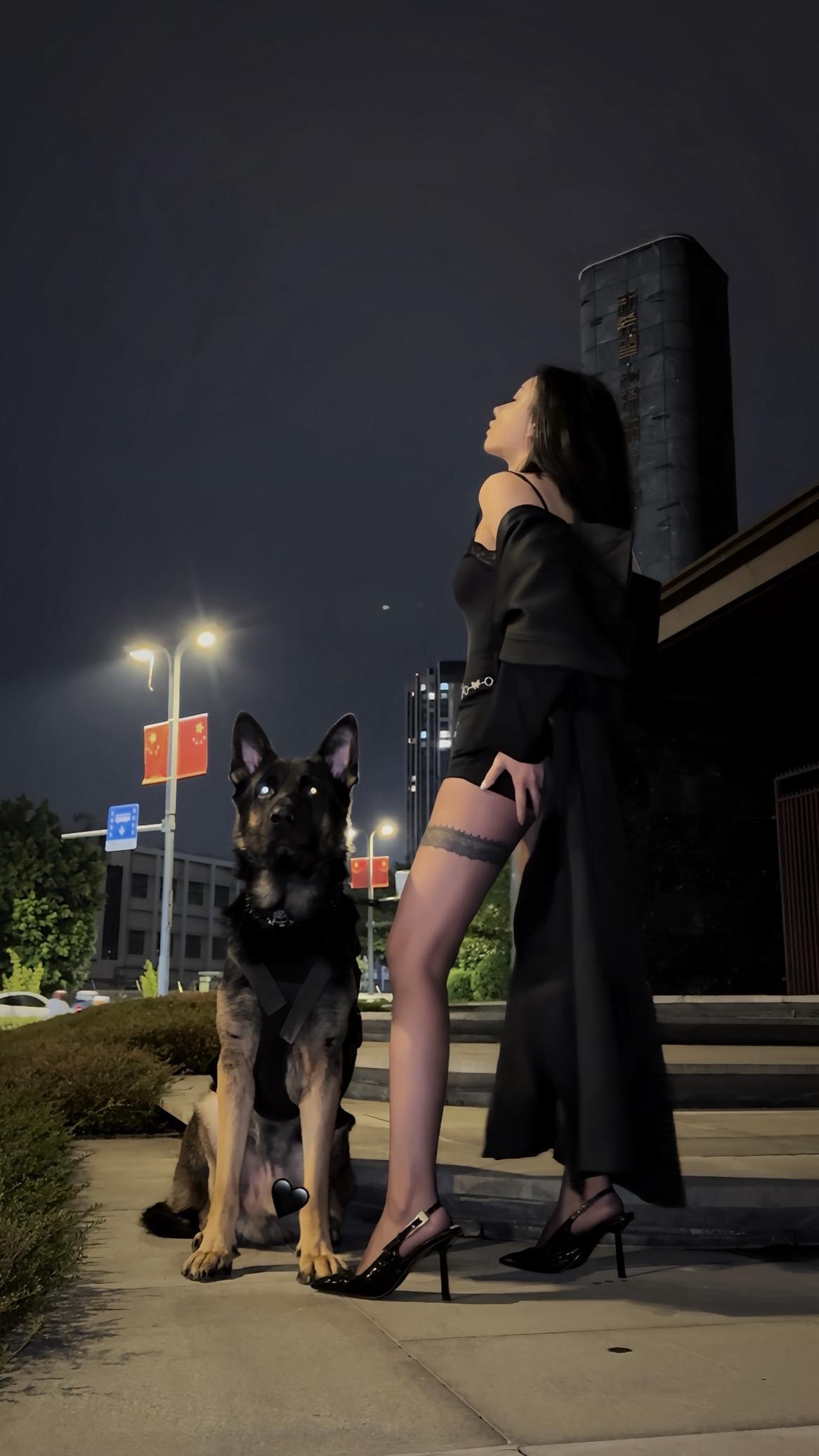 【德牧·巴克】对不喜欢的容忍度为零 ，讨厌的东西永远讨厌