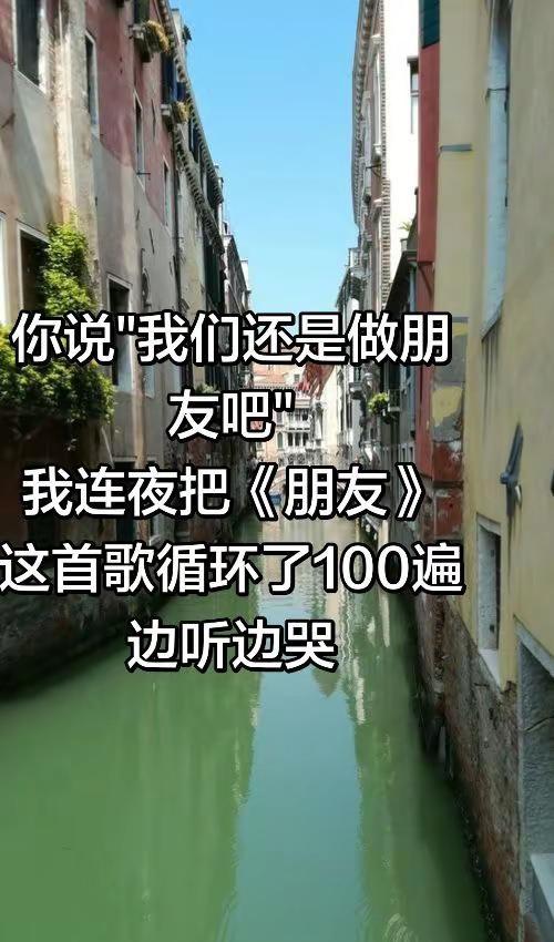 你说"我们还是做朋友吧"，我连夜把《朋友》这首歌循环了100遍，边听边哭。 小丑