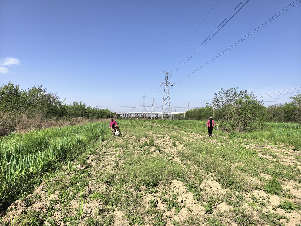 一个月入2500块的小老太，能每天毛钱不花，至于把日子过成啥样？且听我娓娓道来。