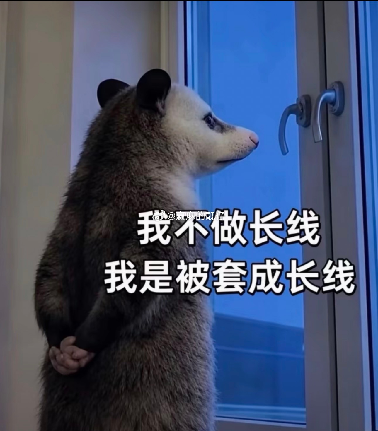我发现我买的3支票从第一次买的位置算已经腰斩了啦，但是又能怎样，如果不动真的麻了