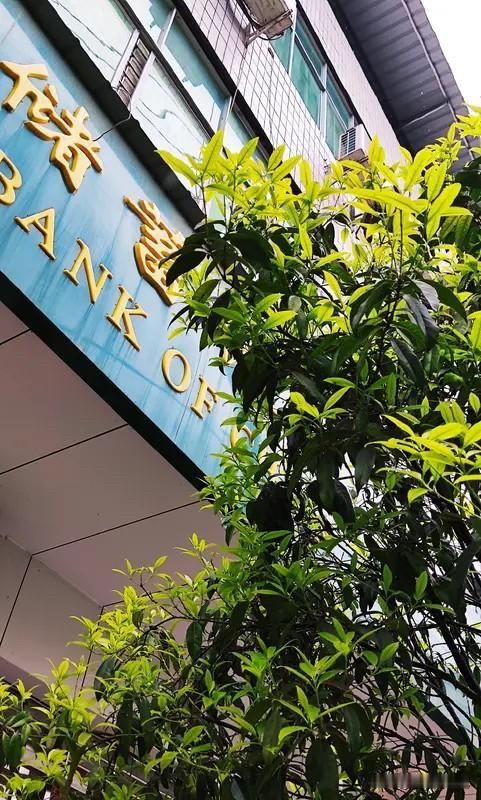 幸福就是，医院没有亲人，银行没有欠款，儿女没有叛逆，父母双亲还在家等我们回去吃饭