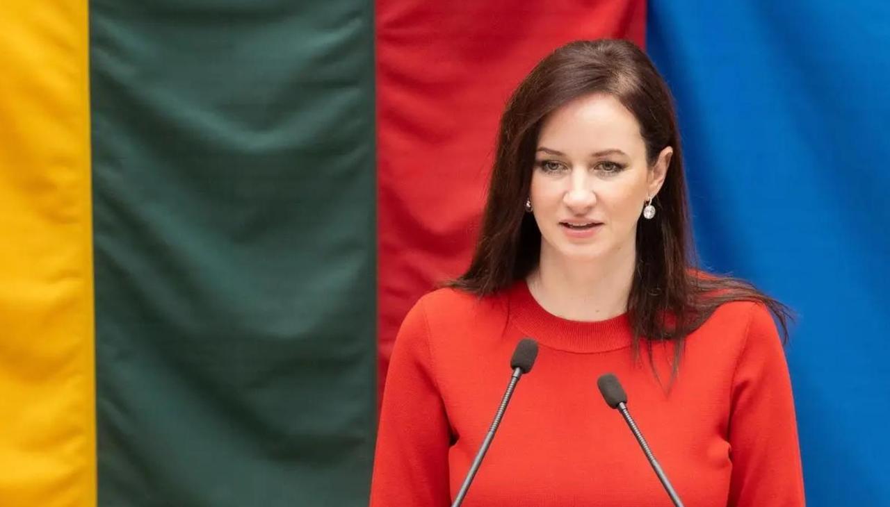 终于认输了？立陶宛反省错误，宣布接受大陆条件，台当局黔驴技穷

麻烦看官老爷们右