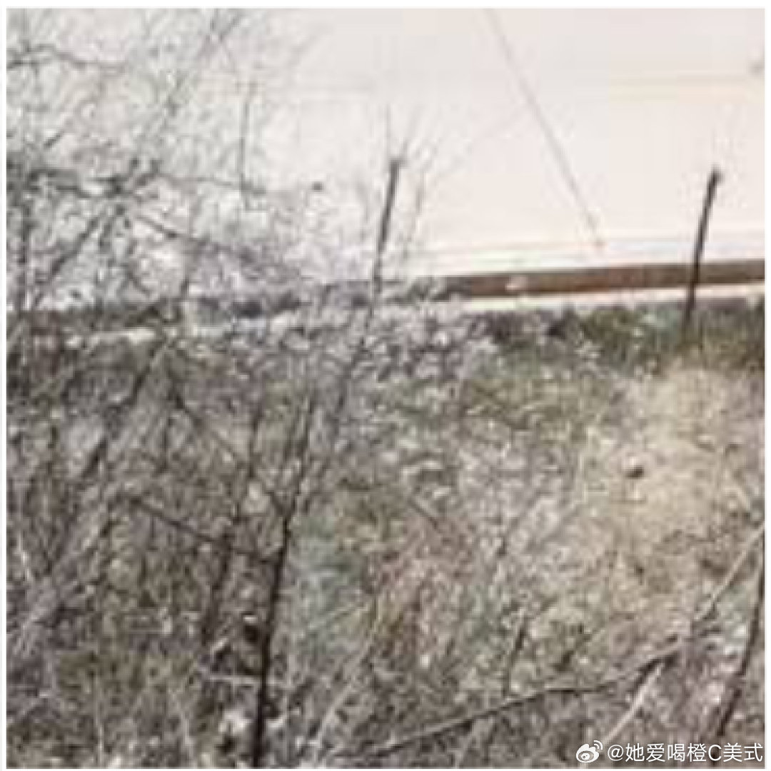 纵然隔着山海，隔着岁月，即便独自穿过悲喜，依旧勇敢积极，充满热爱 