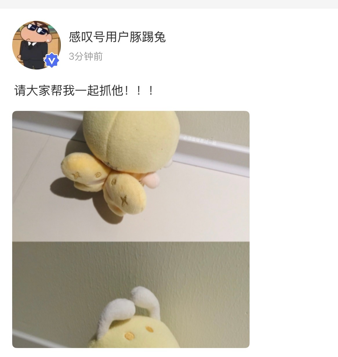 朱志鑫高会更新棉花娃娃 