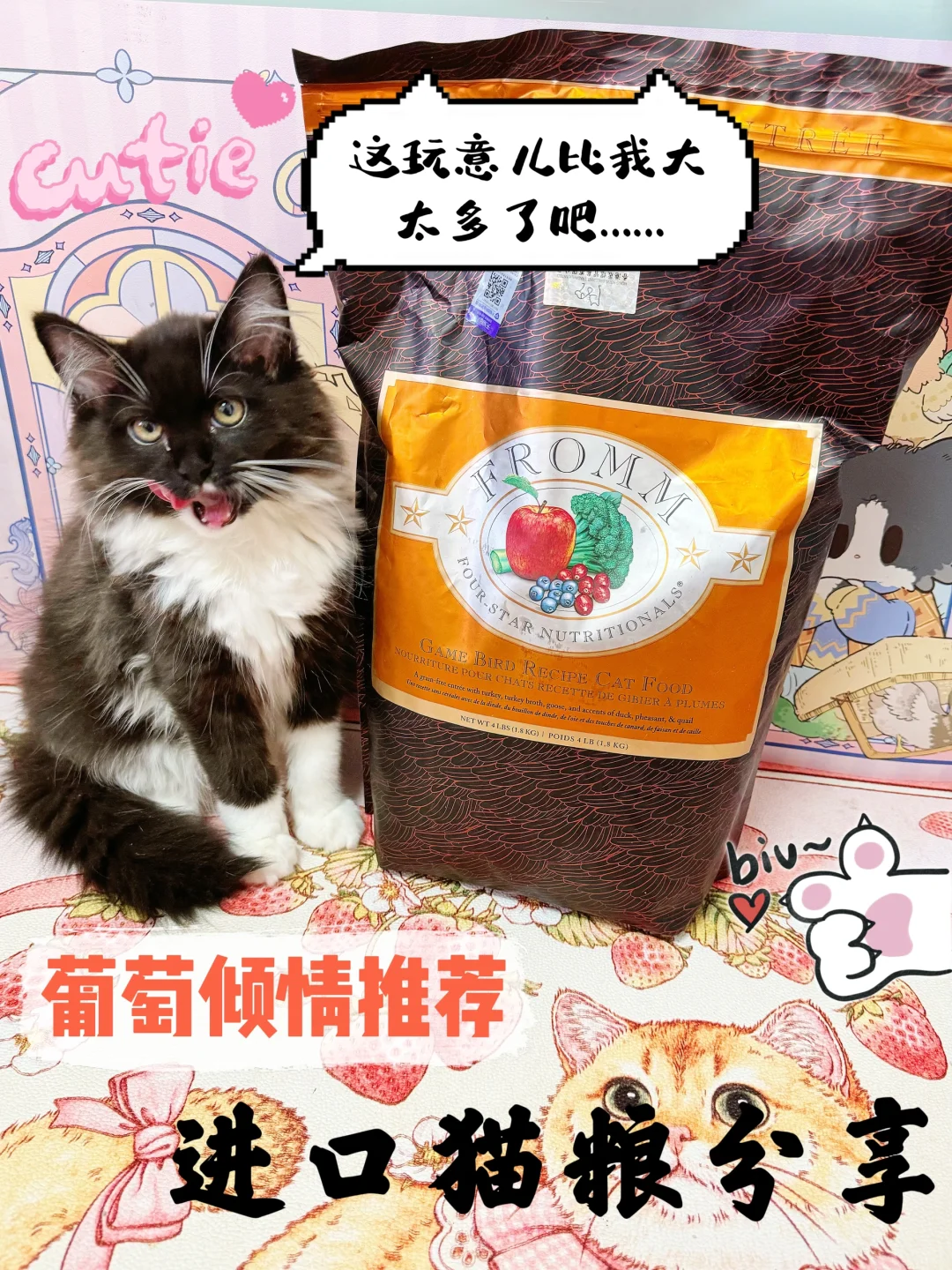 葡萄的进口猫粮新体验🫰