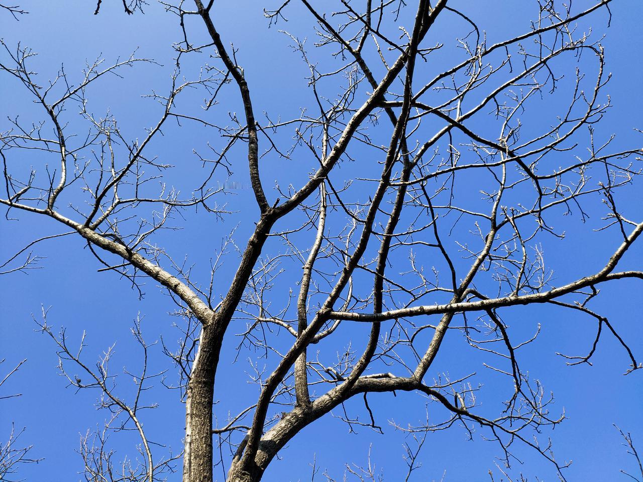 到处有套路，防不胜防
昨天去一家汉堡店买套餐，听店员小声讨论，说差点骗到顾客，没