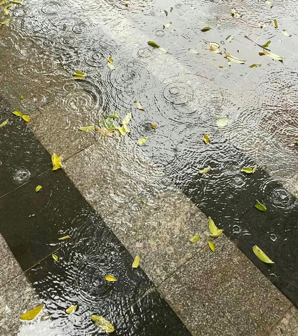 被雨天填满的最近日子向着秋天缓缓流去雨淅淅沥沥下了一周其实阴雨天也没什么不好的v