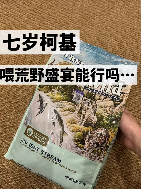 7岁柯基喂荒野盛宴能行吗...