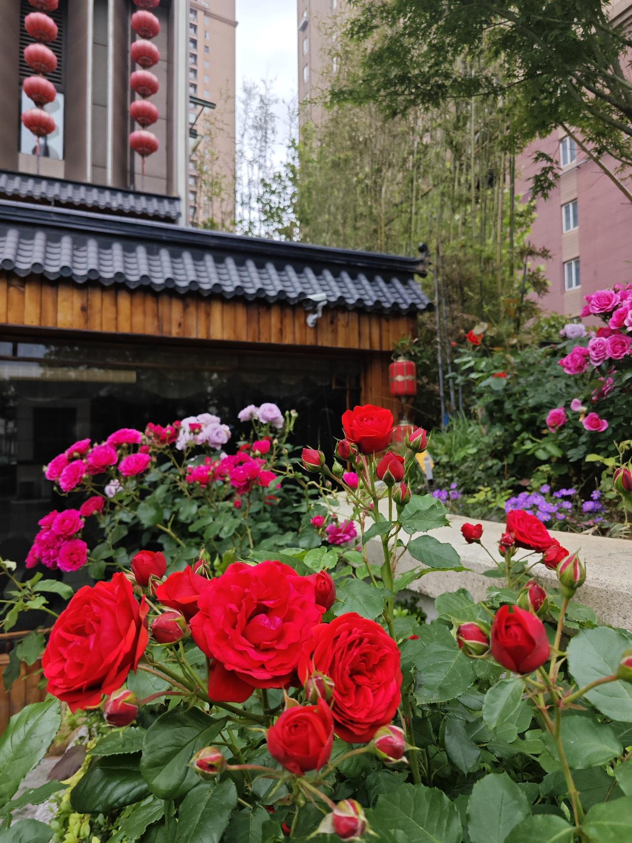 你家每年开空调的时间有多久（36～2）因为我受不了空调的凉气，所以在我们家开空调