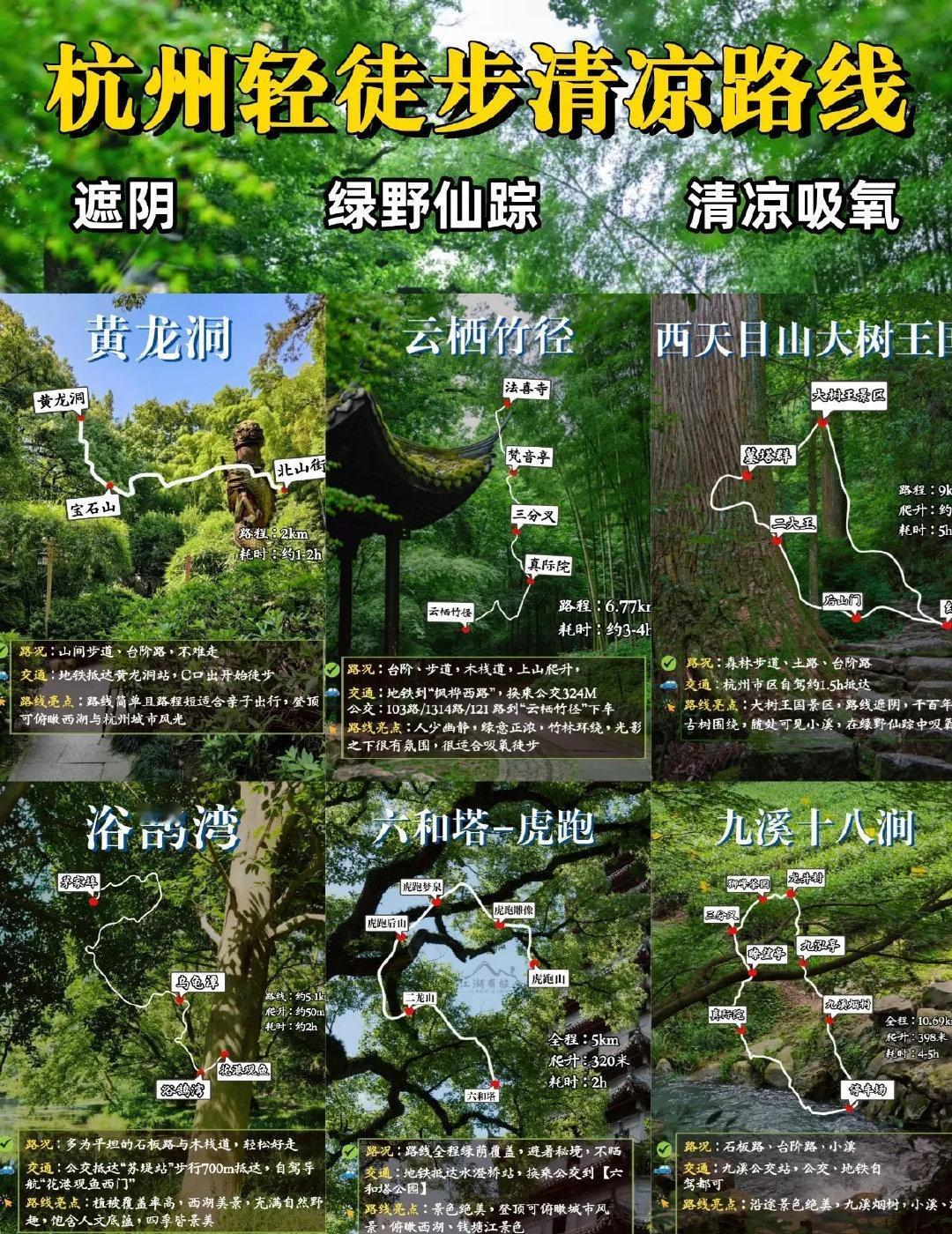 杭州高温天儿热到融化！这6条徒步路线超清凉：西天目山大树王国遮阴吸氧，九溪十八涧