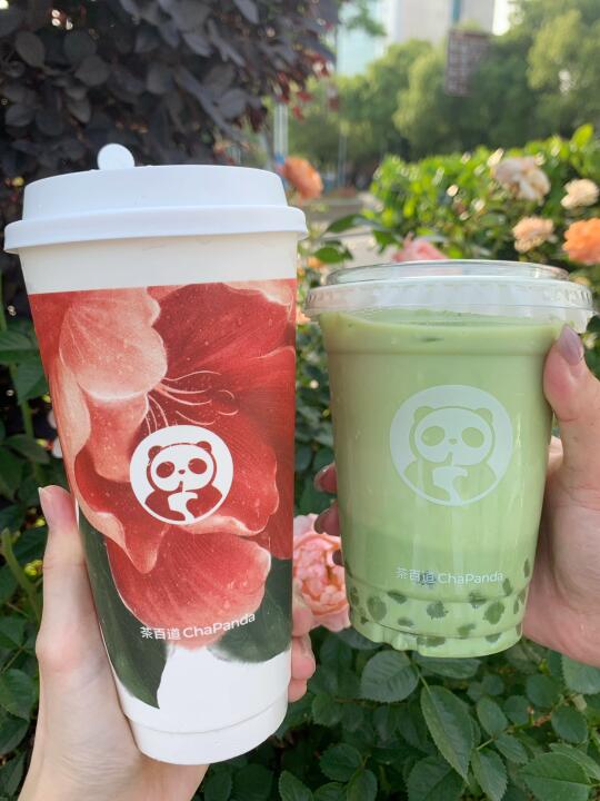 相信我！山茶碧螺春系列是真的可以！
