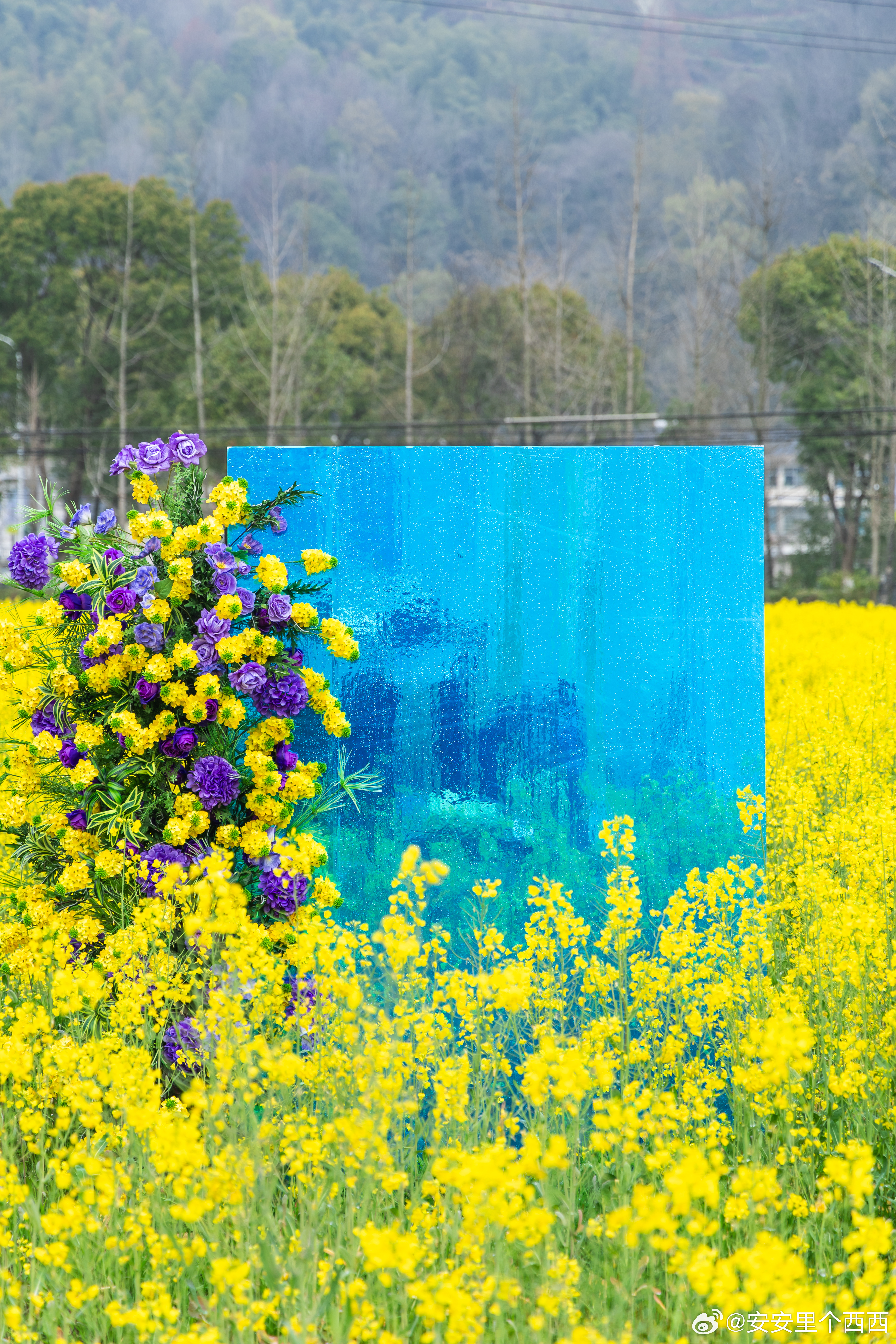 今天的油菜花活动花丛中吃饭花丛中品茶花丛中闲逛美是真美现场看美食制作也很有趣就是