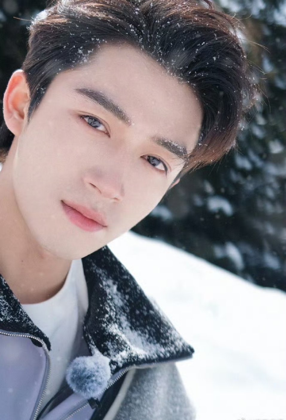 沈月镜头下的内娱明星沈月镜头下的内娱明星，月子真的太会拍了！把每个人都拍的好有特