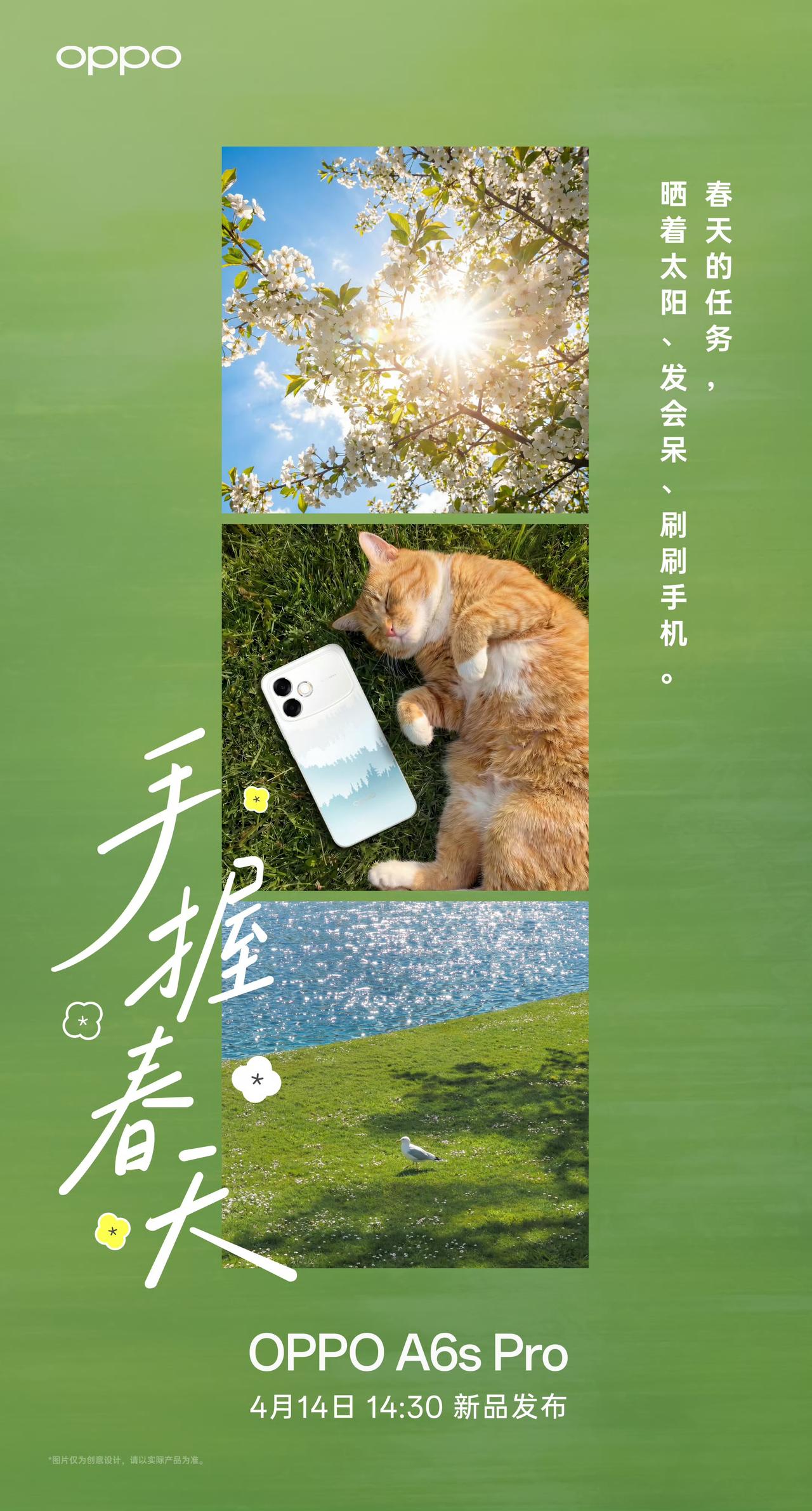 OPPO这个月的新品也是挺多的啊。
A6s Pro也亮相了，14号发布。
这个外