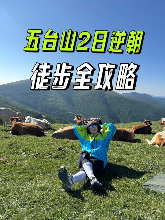 五台山逆朝路线是为城市牛马定制的吧❓