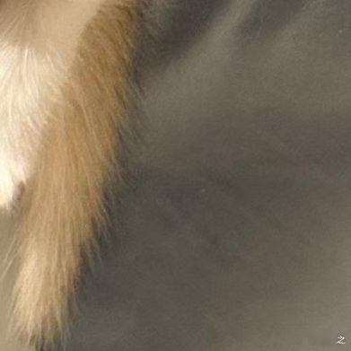 咪不要形象的嘛这么曼妙的姿势值得双机位拍摄 