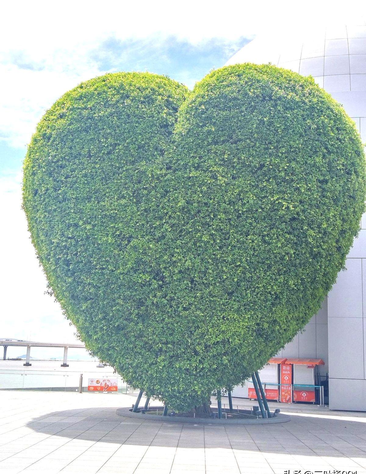 “能不能今年冬天让爷爷奶奶住老城的家”女儿怯怯的说。
“我现在备考的时候，爷爷喜