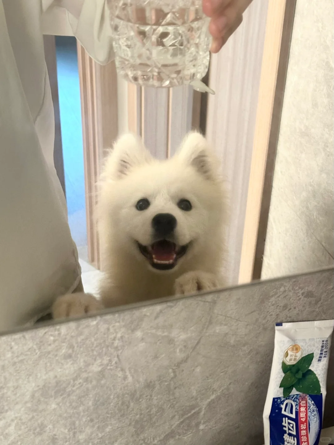 宝宝你是打工人救赎文女主