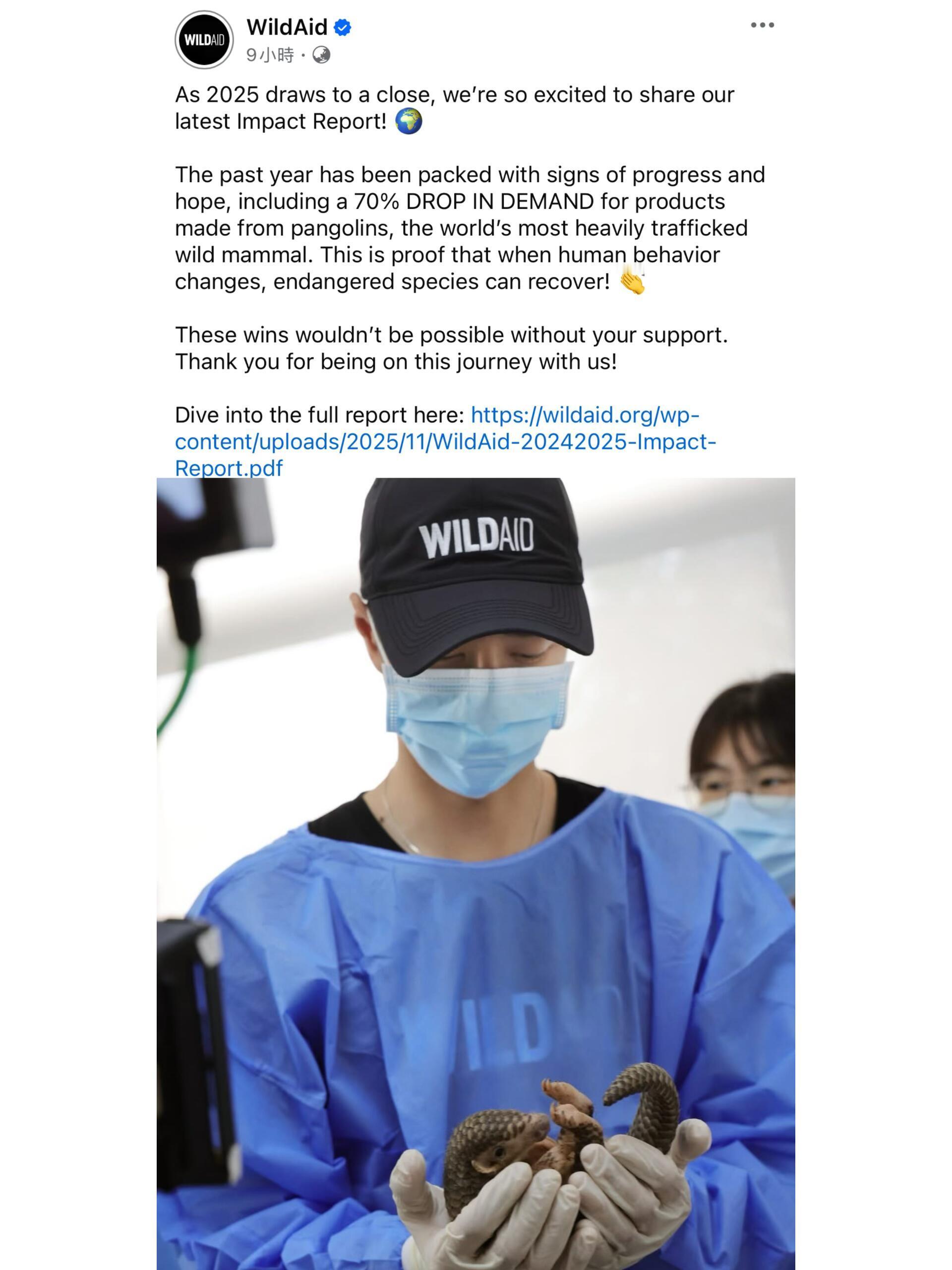 WildAid世界野生救援组织发布了《24/25年度影响力报告》。 穿三甲篇章中