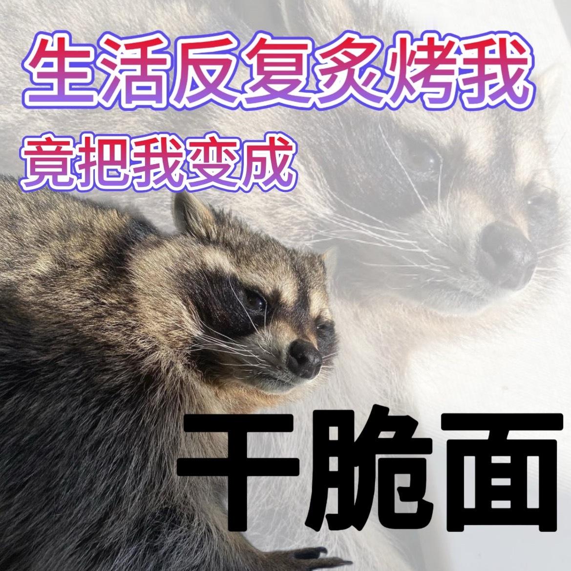 宇宙你可以告诉我我的工作在哪里吗面试的有点变成干脆面了哈。 