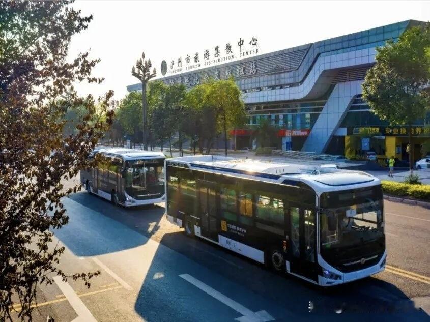 泸州市70周岁以上老年人免费乘坐城市公交车实施细则即将于12月施行。满足办理老年