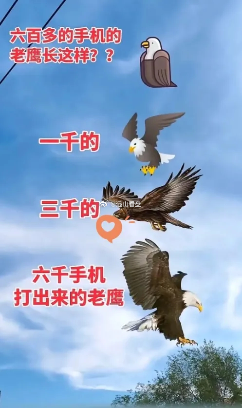 破防了！表情也分三六九等？网友说这是“手机显示的降维打击”，我信了！同个老鹰表情