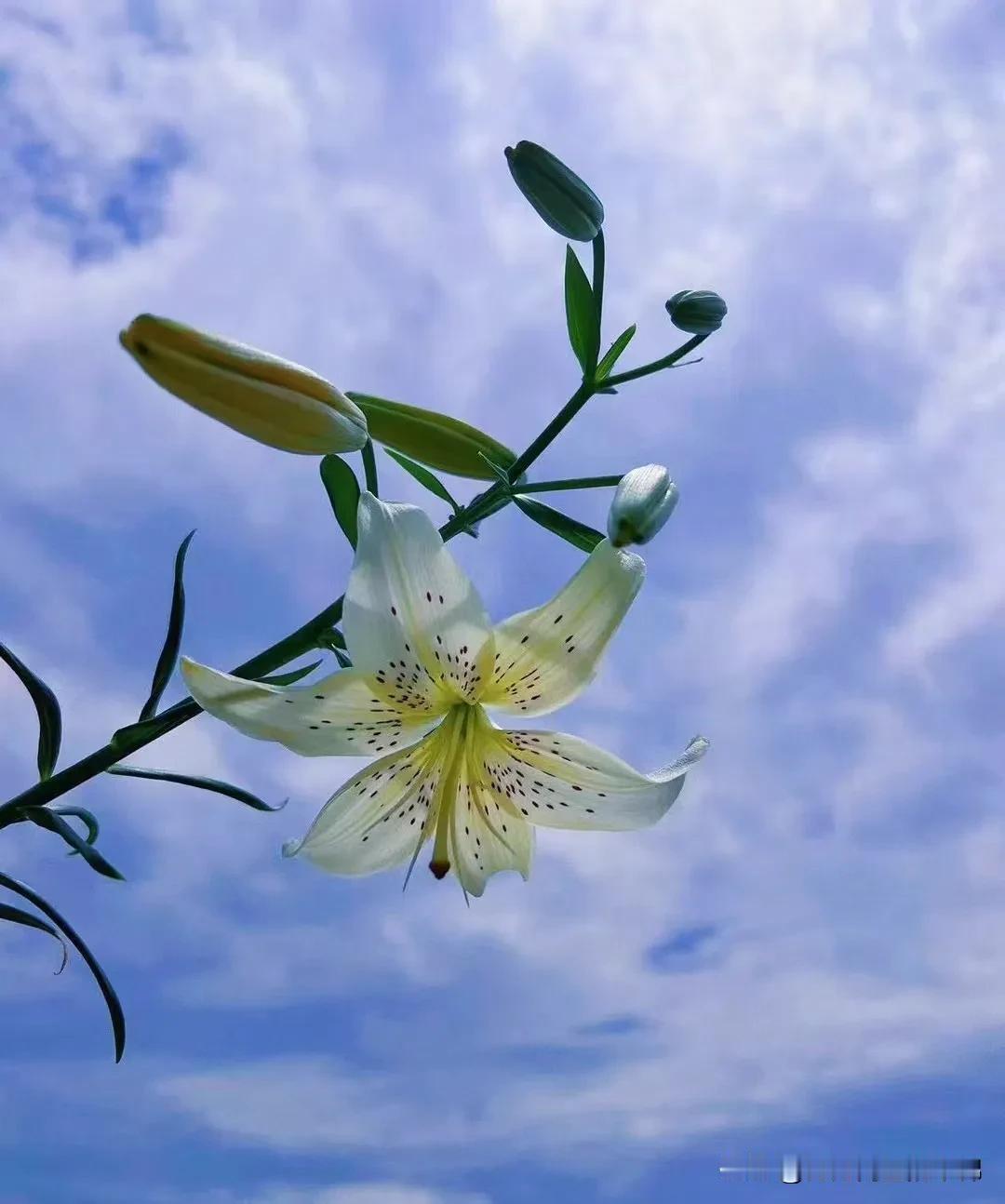 如今很大一批年轻人，毕业即失业，如果不啃几年老，没收入的日子里，连吃饭生存都是问