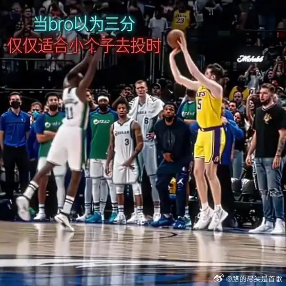 《“谁说大个子没有三分.”NBA》播放量：522作者：德鲁篮球网页链接