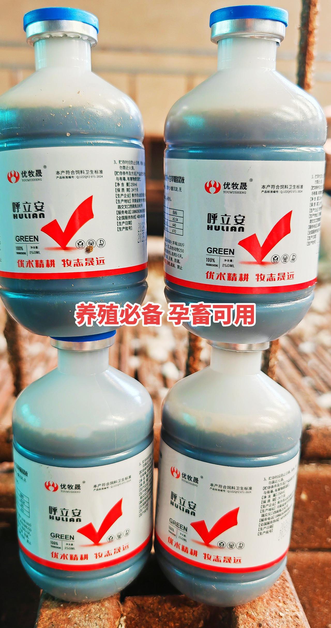 养羊人 农村养羊