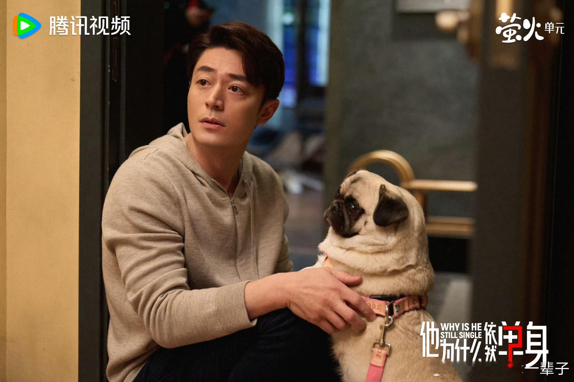 霍建华  来自霍迷的情书 hjh霍建华他为什么依然单身 12月继续有霍建华俞瑜 