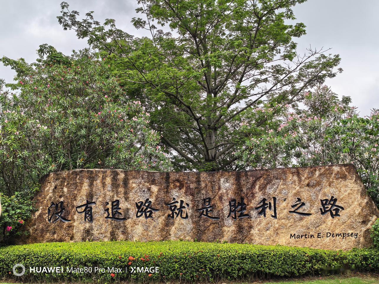 【老胡的无可奈何花落去】

看到有网友转老胡关于年轻人烦老登的那些文字，我不由露