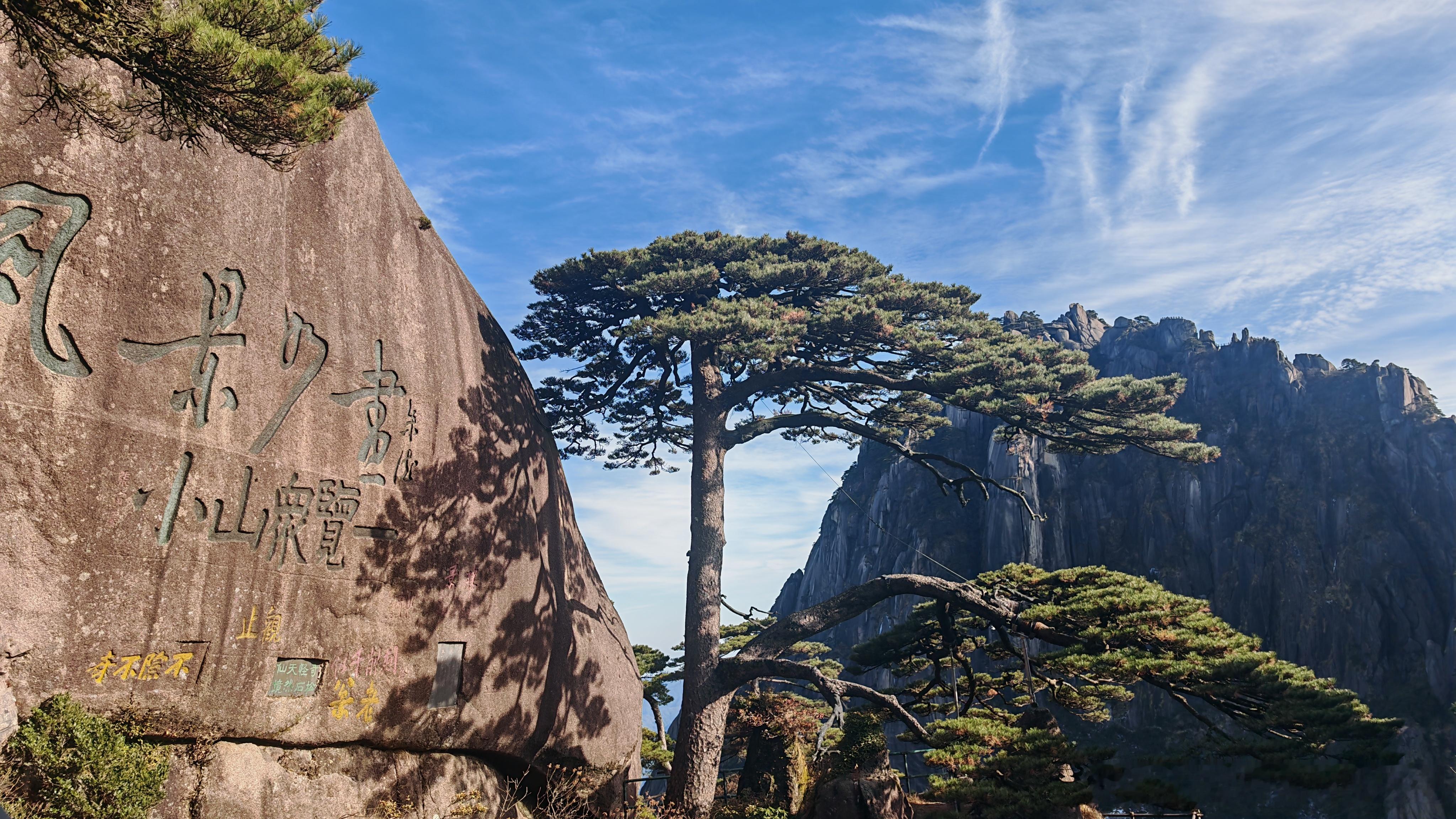 和樊振东一起看雪在黄山看雪景，樊振东：大雪压青松，青松挺且直。要知松高洁，待到雪