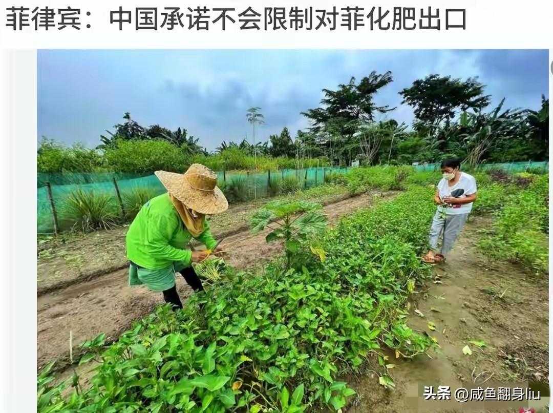 很多人没看懂菲律宾的操作，菲律宾在经济上遇到困难竟然向中国求助，一边求助一边军事