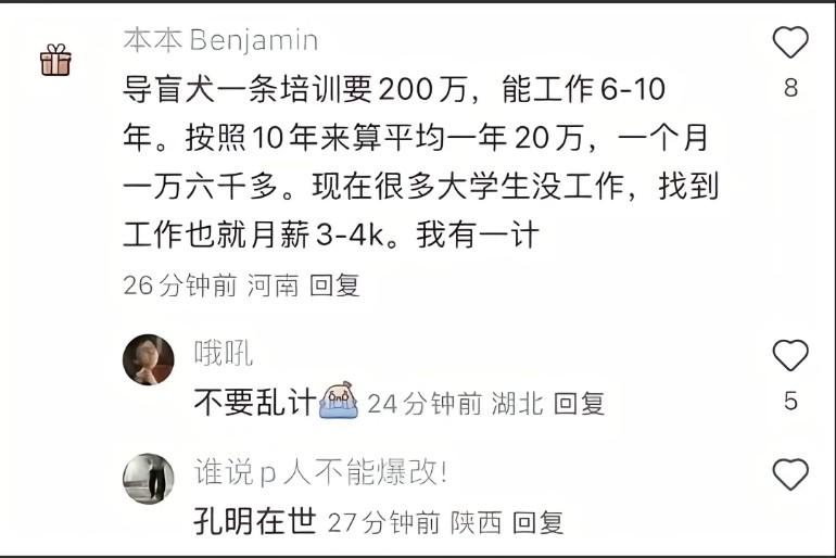 培训一条导盲犬竟然要200万，能工作6－10年，一年20万，还不如请个大学生扶盲