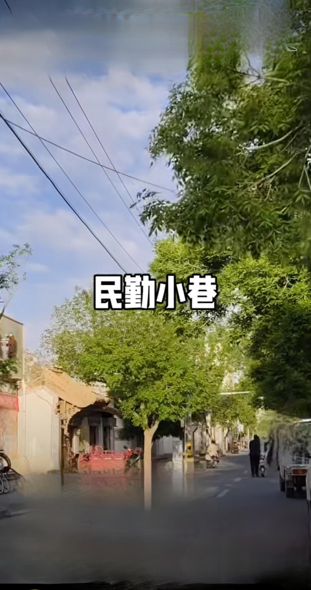 春日生活打卡季