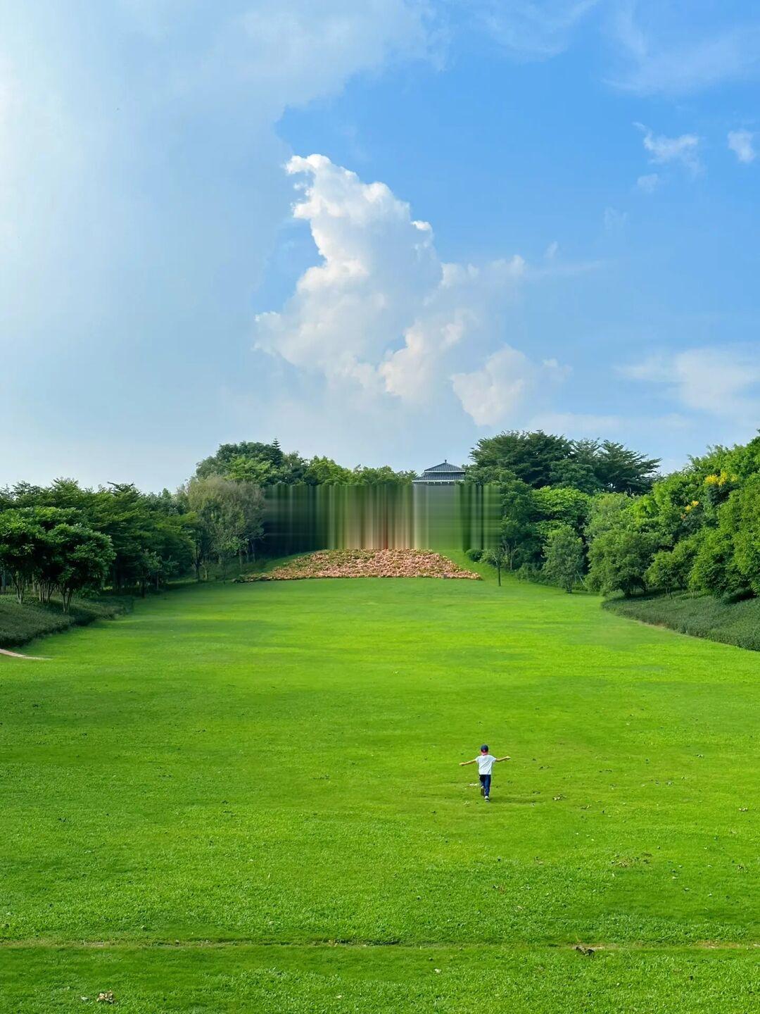 拥有超大草坪的治愈系公园⛲️还可帐篷野餐‼️