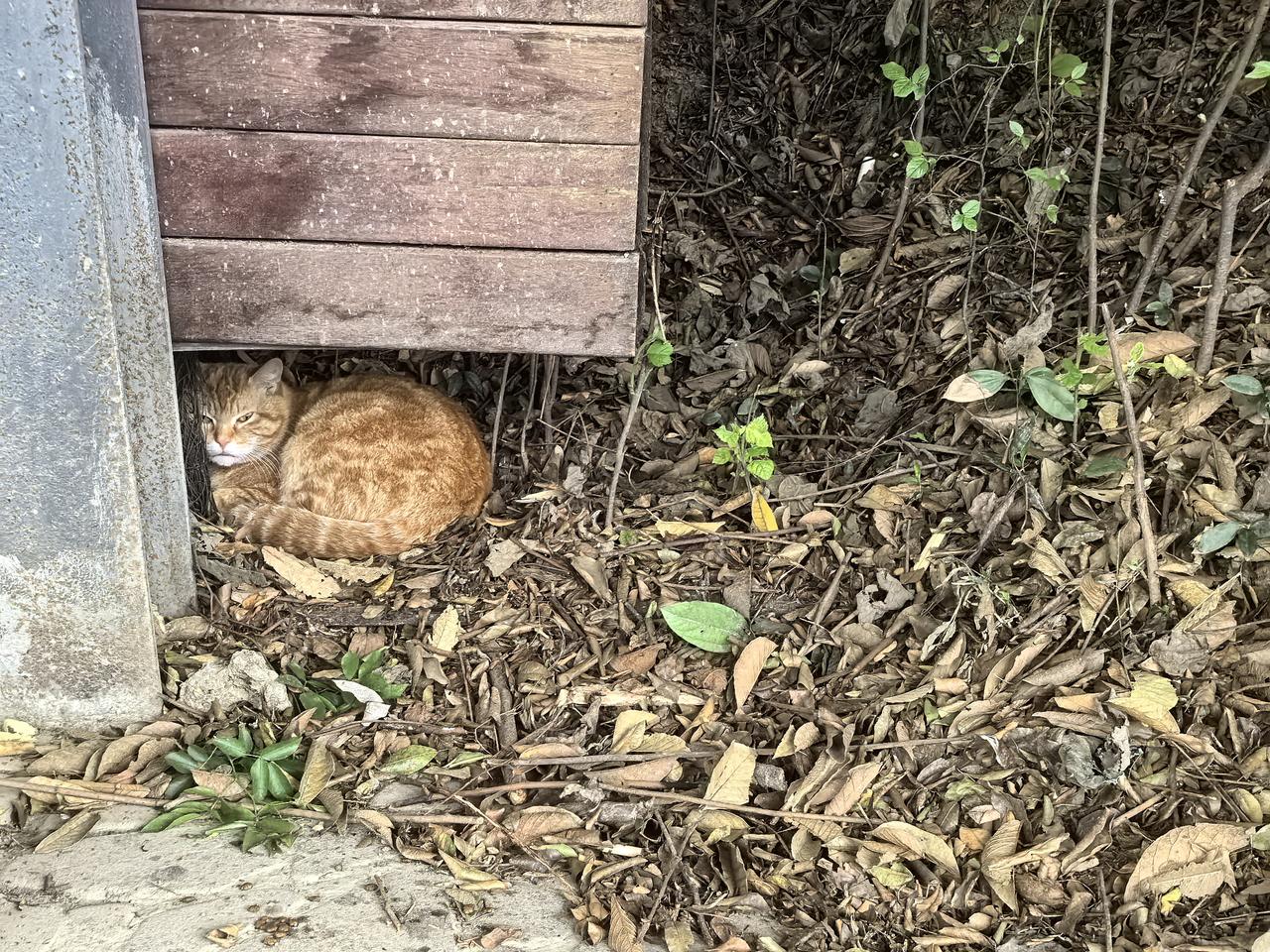 对特朗普总统来说，队伍确实不好带了，瑞士现在居然敢拒绝美国了。据多家媒体今天报道