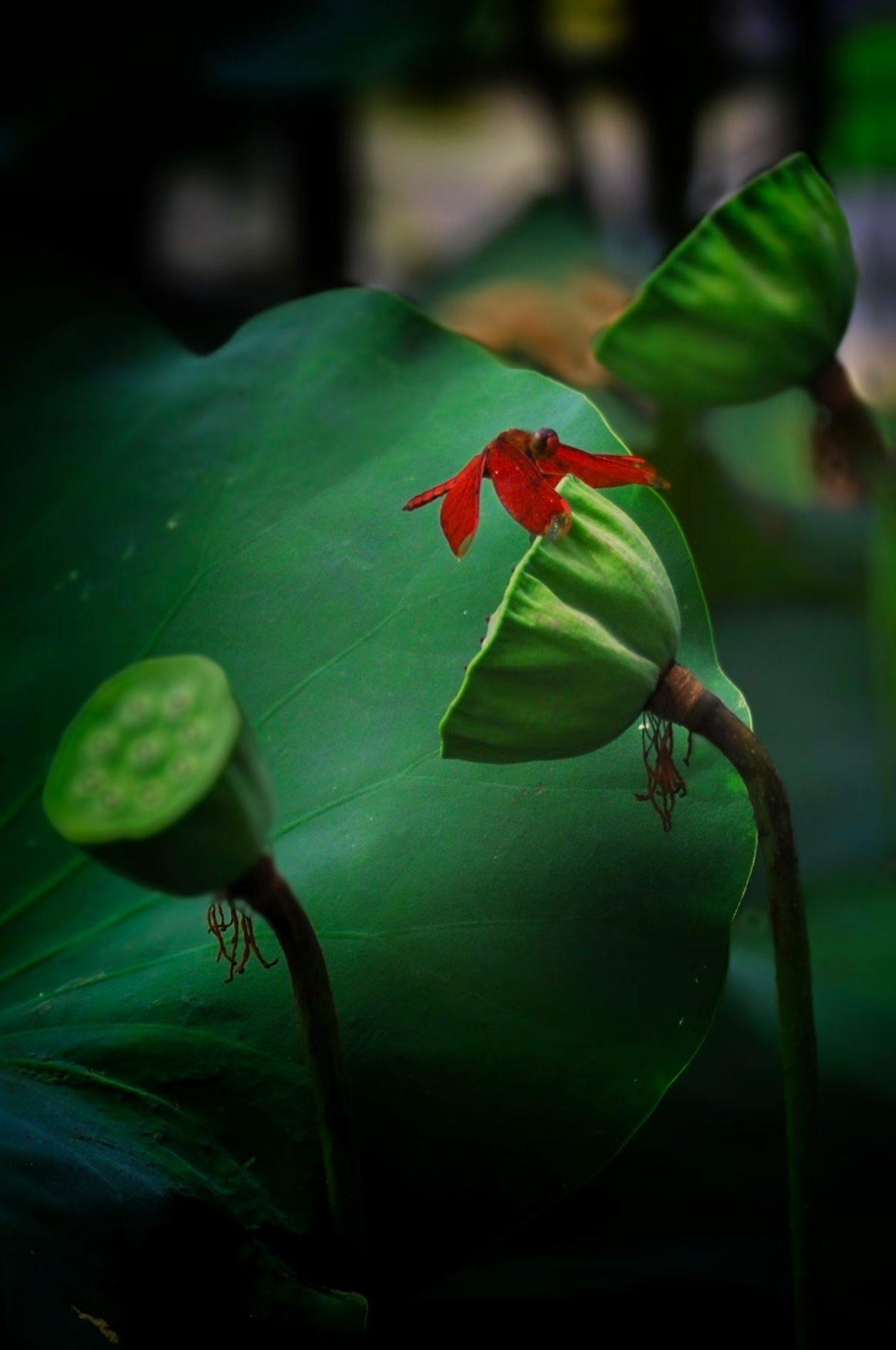 广州街道景色 镜头下的广州 看看你拍的广州 城市观察员 城市.街拍 广州城市景观