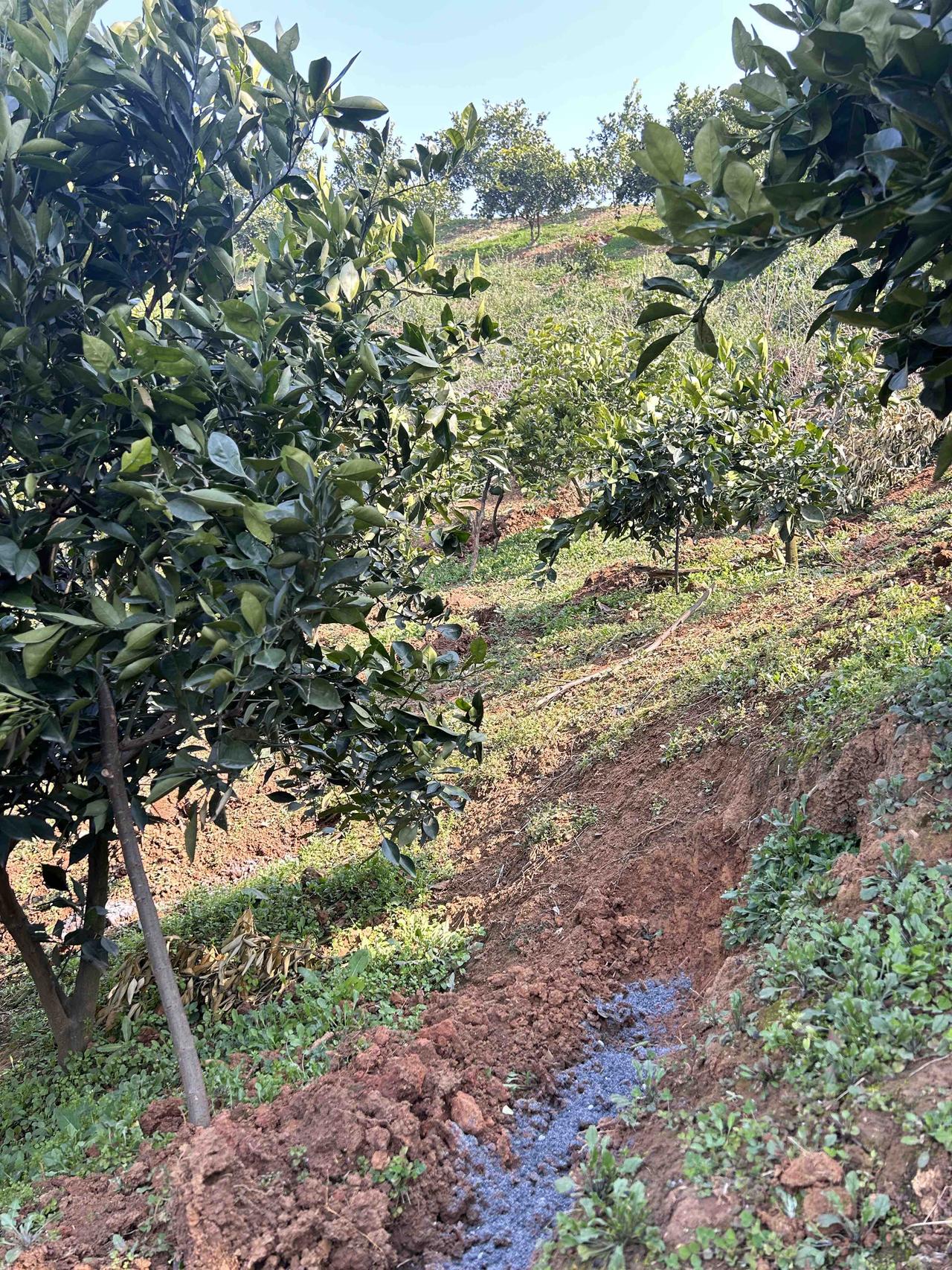 所有的婆婆都错了，你以为帮忙带孩子是在给儿媳妇帮忙？实际上你是在给你儿子帮忙，可