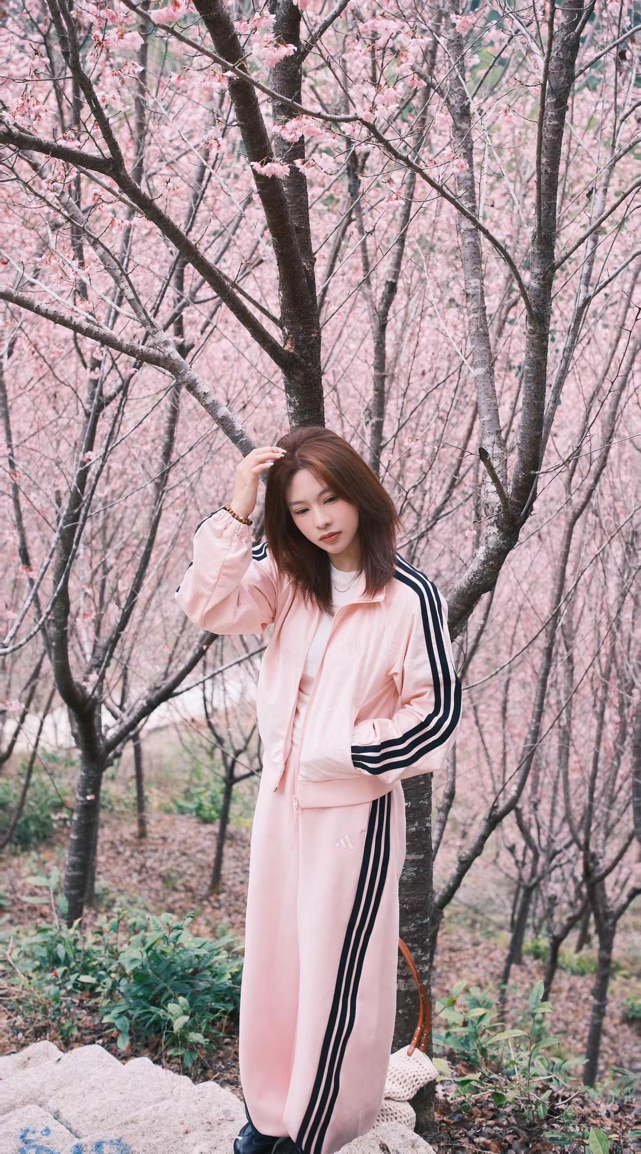 樱花树下站谁都美