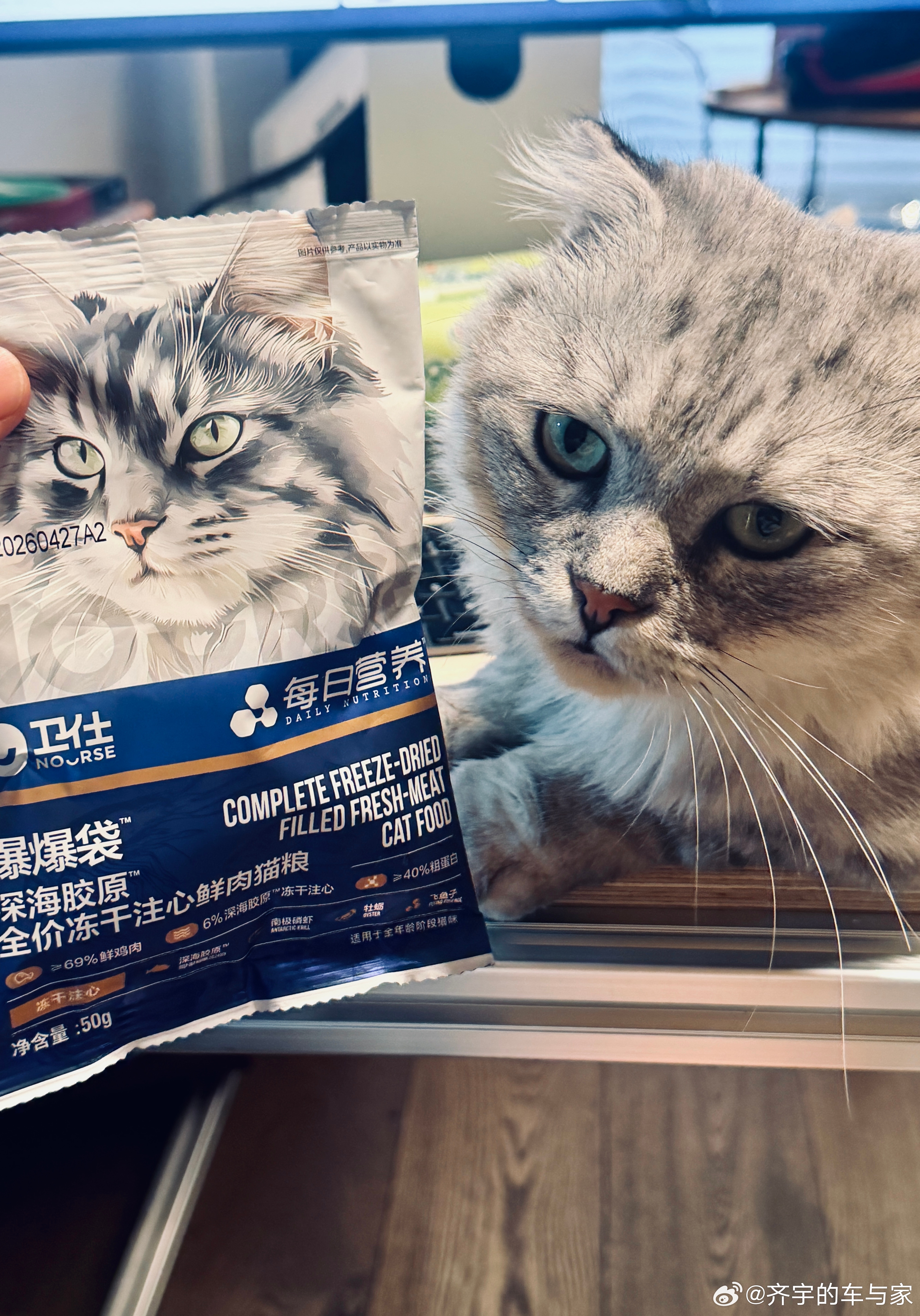 大家好，他叫小8，我的第八只流浪猫，认识一下 喵星人 ​​​