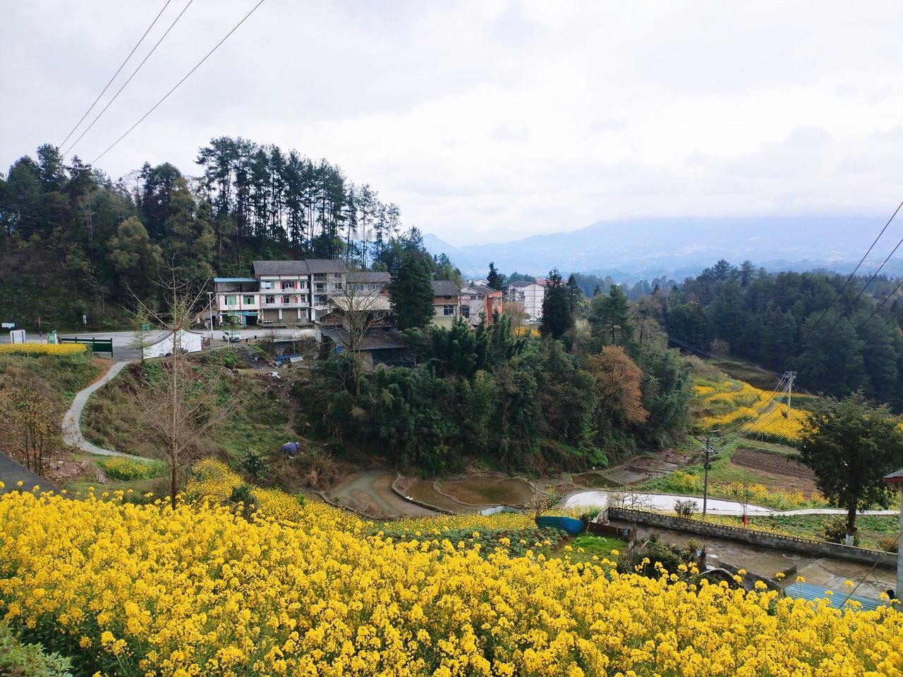 南川大有与道真大磏，分别所属渝黔两省（市），“双大”均坐落在大娄山脉腹域，跨界毗