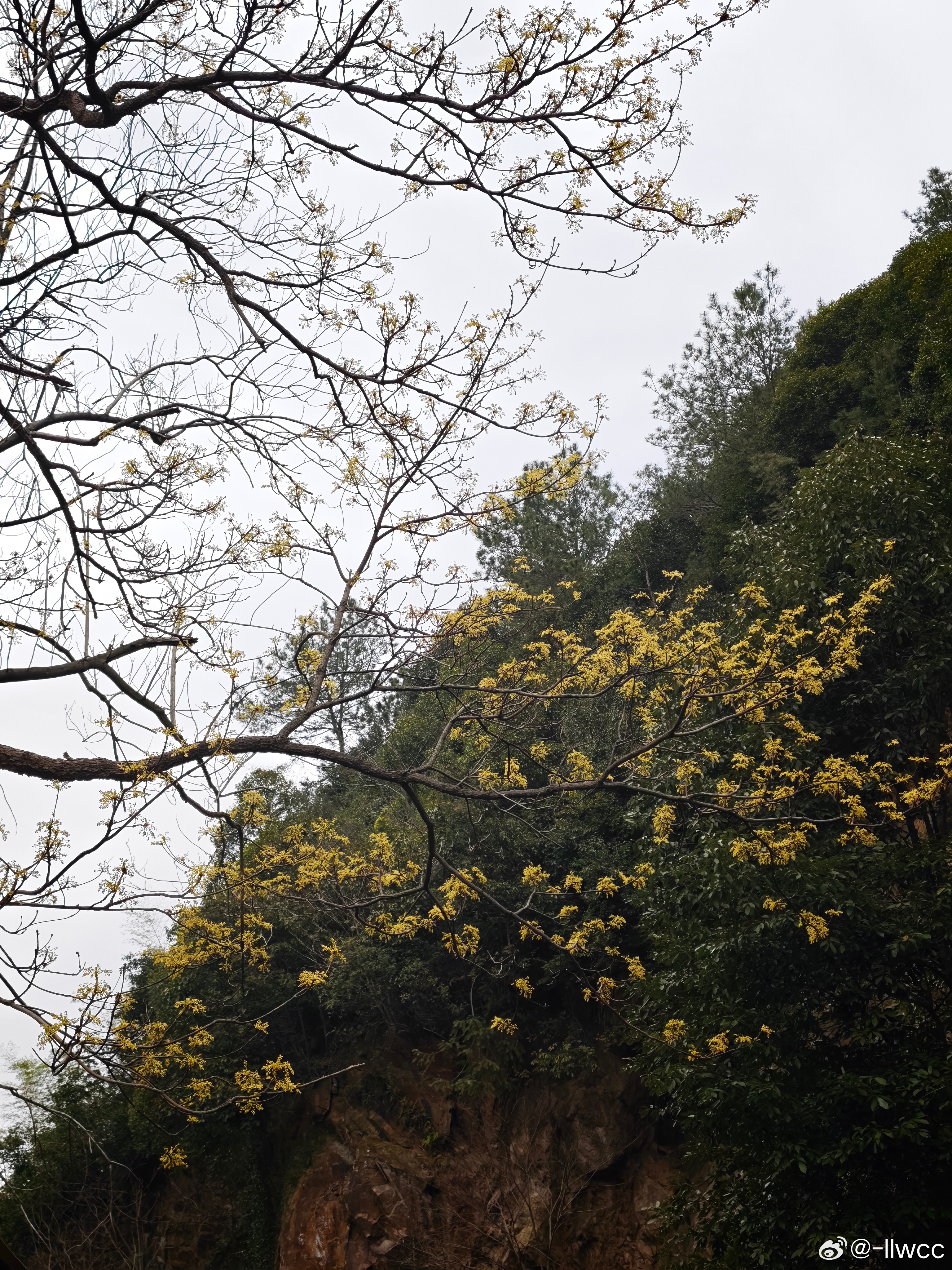 今日越开越好开越开越想开 湖州·德清