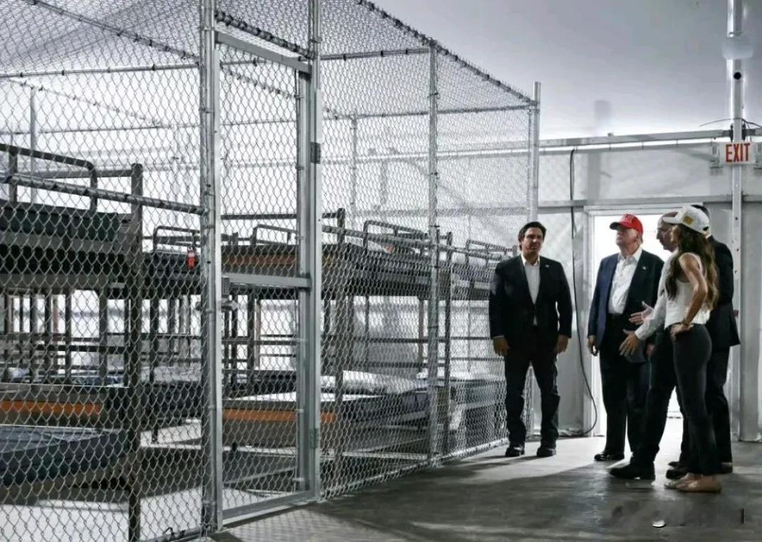 沼泽地狱：法西斯式的种族隔离实验室​

“鳄鱼恶魔岛” 的每一寸土地都渗透着种族