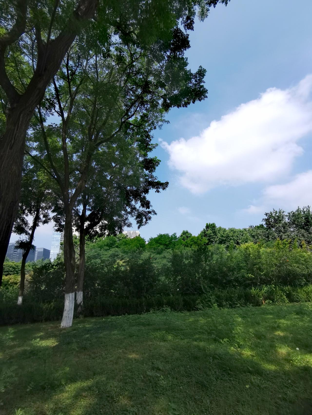 夏日生活打卡季 西安天气温度 西安今天很凉快 陕西高温天 

西安这几天高温不退